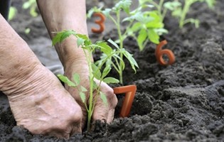 Blue Number Initiative - A Global Registry for Sustainable Farmers