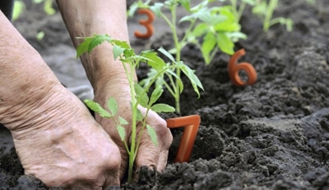 Blue Number Initiative - A Global Registry for Sustainable Farmers