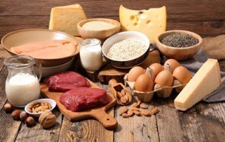 UK’S Arrangements for Trade in Live Animals and Animal Products