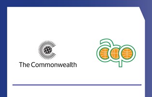 New Post-Brexit Procedural Rules for ACP Exports into the UK